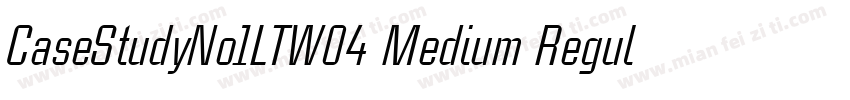 CaseStudyNo1LTW04 Medium Regular字体转换